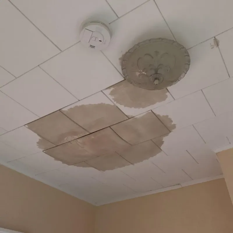 Ceiling Water Damage Repair in Avalon, PA