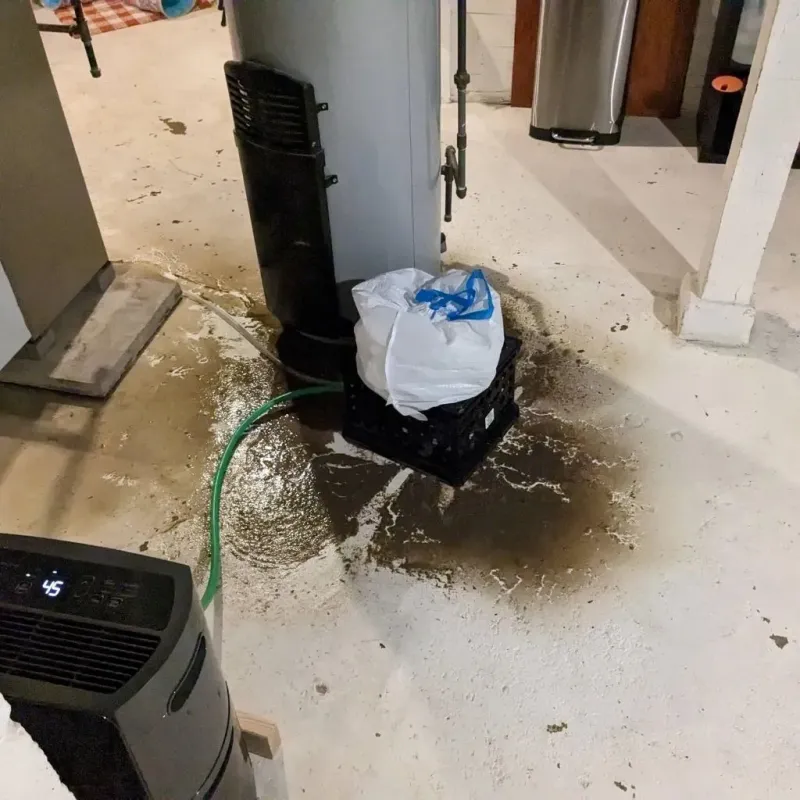Sewage Backup Cleanup Service in Avalon, PA